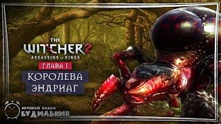 Ведьмак 2 ● Убийцы королей #18 ● КОРОЛЕВА ЭНДРИАГ