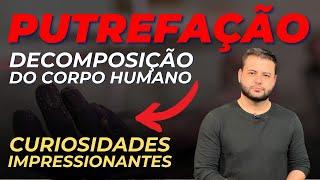 O QUE ACONTECE COM O CORPO APÓS A MORTE? CURIOSIDADES IMPRESSIONANTES