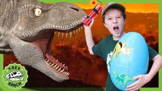 A Giant Dinosaur Surprise Egg Hunt at T-Rex Ranch with Park Ranger LB! Dinosaur Videos For Kids