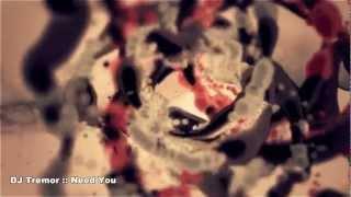 DJ Tremor - Need You [ TR 909 ]