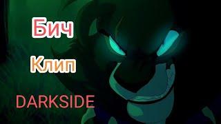 ||Бич||Клип||DARKSIDE||Коты-воители||