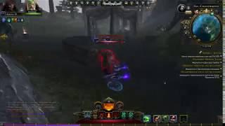 Чернокнижник-мучитель, Neverwinter online.