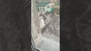 26 декабря 2023 г.