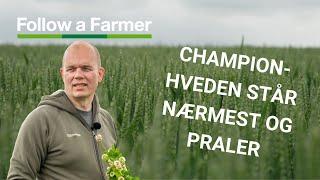 The crop sprayer ran for 52 hours and covered over 750 hectares. - Follow a Farmer Agrifos I/S S3:E4