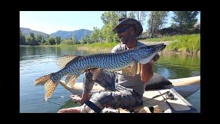 Flyfishing Utah MUSKY 2022 part 2: Chasing 40+ Inch Musky