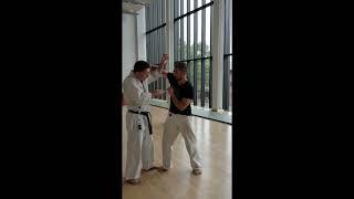 Nasty Bunkai - Seisan Rasen Uke Reason for 90 degree turn