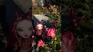 Осенняя фотосессия  | Olivia Woods и Scarlet Rose из Rainbow High & Shadow High