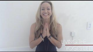 Living The Yogi's Life: Vegan Purse Stylehaul, Yoga Lifestyle Blog with Kino