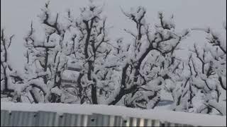 Friday Morning Seasons first snowfall Abid clicks️️