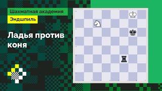 Ладья против коня. Компактность – значит жизнь! // Эндшпиль