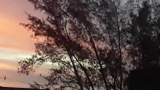 Música:Passe o Protetor de {Sophia Silva e Emilly Silva}