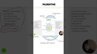 Забирай полное видео в комментариях  #биология #егэ #огэ #огэ2023 #biology #shorts