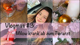 Cozy  Vlogmas #3 verbringe den Tag mit mir