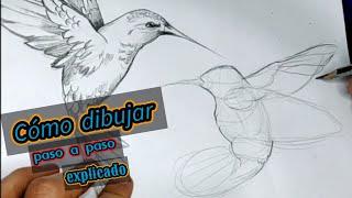 Cómo dibujar un picaflor semi realista paso a paso, principiantes/ How to draw  hummingbirds