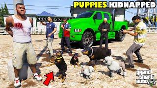 Franklin Trying To Rescue Chop Stolen Puppies In GTA 5 | SHINCHAN and CHOP