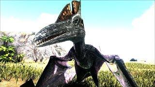 ПРИРУЧИЛ ПТЕРАНАДОНА - ARK SURVIVAL EVOLVED JPE #3