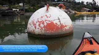 Kayaking the Fraser River from Mission to Glen Valley Park