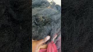 How to detangle Extremely matted hair on Afro hair.