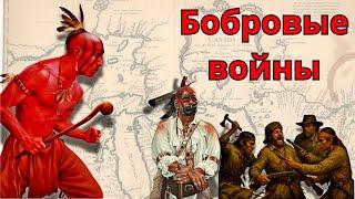 Бобровые войны
