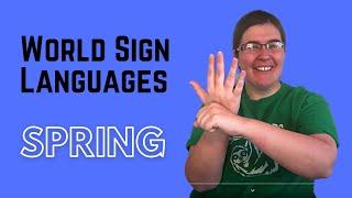 How to sign SPRING in World Sign Languages (like Japan, Italy, Greece, South Africa, ASL, and more!)