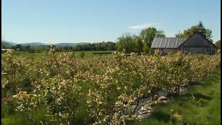 12/30/19 The Gund Institute for Environment at UVM on 'Across The Fence'