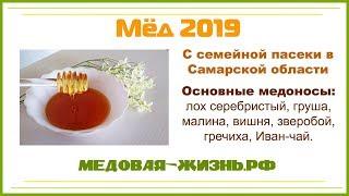 Мёд с семейной пасеки Медовая Жизнь июнь 2019г.