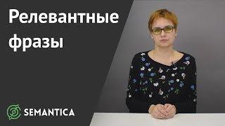 Релевантные фразы: что это и зачем они нужны | SEMANTICA