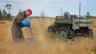 Как собирают клюкву в Сибири. Васюганское болото. How we harvest cranberries in Siberia