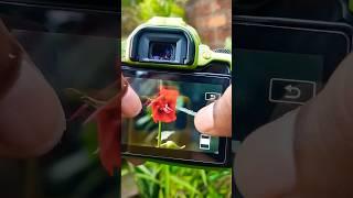 live shoot canon 200d ii with 50mm zoom test #shorts #ytshorts