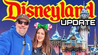 DISNEYLAND & DCA UPDATE! Crowds, Construction, Small World Holiday Lighting, NEW Merch, TREATS +MORE