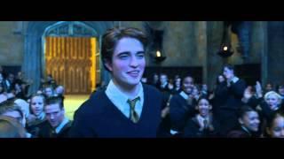 Harry Potter in 99 Seconds (HD)