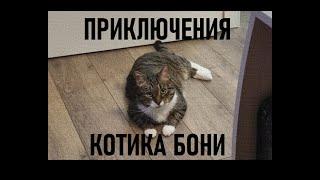 Приключения Бони (Бонимен) дома / The adventures of Boni (Boniman) at home