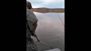 Truman lake 62lbs blue catfish with Cody's Guide Service