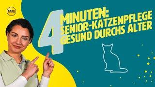 Senior-Katzenpflege: Gesund und munter durchs Alter!