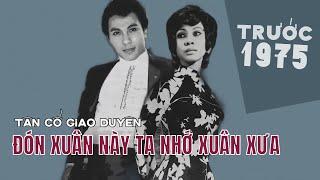 BẠCH TUYẾT-HÙNG CƯỜNG | Đón Xuân Này Ta Nhớ Xuân Xưa