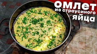 Омлет из страусиного яйца  