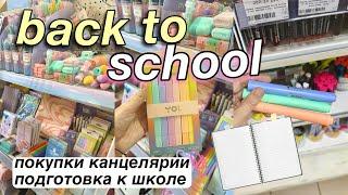 ГОТОВИМСЯ К ШКОЛЕ Back to School 2024! бэк ту скул покупки канцелярии