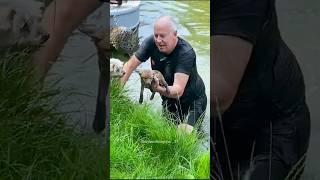 Man Helps Helpless Animal 