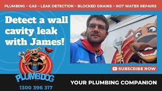 Leak detection with James - Plumbdog Plumbing Perth