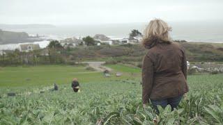 Is there a gender imbalance in farming? International Women's Day film