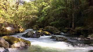 Develop your Psychic Abilities by Disconnecting from the 3-D Data Stream & by Connecting with Nature