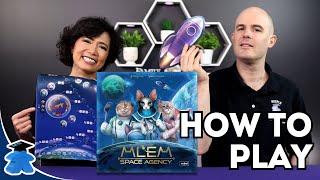 MLEM Space Agency - How to Play (How to be the best Catsronaut‍️)