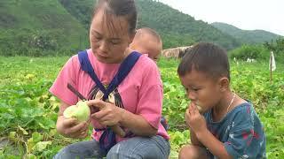 Single mother raising two children, Harvest melons to sell, Take care of children- lýtieuly