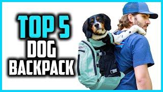 Best Dog Backpack Carriers in 2024