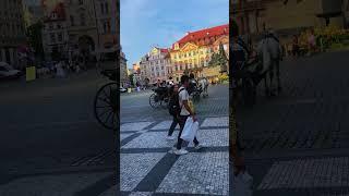 Buggy and Horse #4k #trendingshorts #prague #shortsvideo #trend