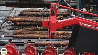First look at Murray Timber Group's Springer sorting line