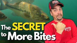 INSTANTLY Improve Your Bass Fishing (Costs Zero $$$)