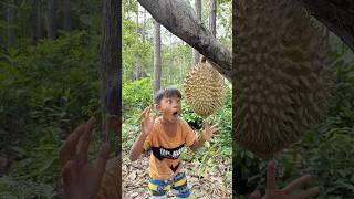 Survival Skills: SMART idea and USEFUL in Forest #bushcraft #camping #outdoors #survival