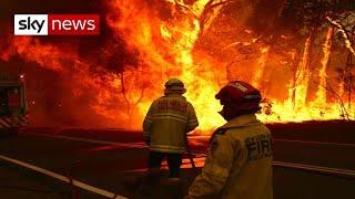 Australia bushfires: New South Wales declares state of emergency