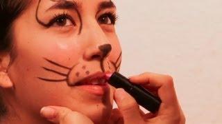 How to Make a Cat's Nose & Whiskers With Makeup : Face Painting and Makeup